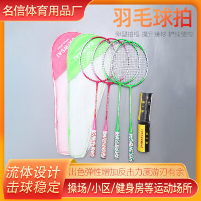 Cung cấp hàng hóa cung cấp game vua game cầu lông hai gói kèm bóng vợt cầu lông người mới bắt đầu giải trí tại nhà vợt