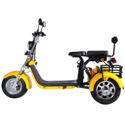 Các nhà sản xuất cung cấp đèn flash xe điện Harley citycoco xe ba bánh Harley EEC xe điện ba bánh
