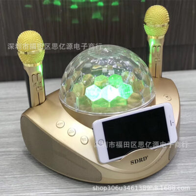 Loa Bluetooth SD308 micro không dây micro âm thanh tất cả trong một karaoke di động ngoài trời phiên bản gia đình KTV