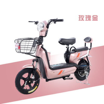 Nhà máy bán buôn Huaxin Lu Zhiyuan mới con khỉ vàng xe đạp điện xe đạp điện hai bánh xe đạp điện