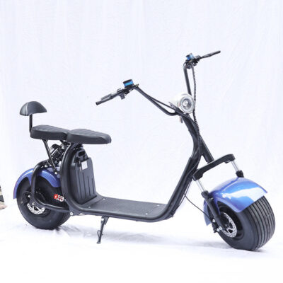 Nhà máy an toàn trực tiếp cung cấp sỉ xe điện xe máy Harley sạc rời xe đạp tay ga