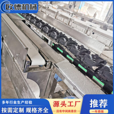 Máy cân và phân loại trái cây tự động thanh long cam quýt máy phân loại trái cây cân thông minh