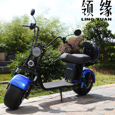 Điện Xe Máy Harley Citycoco Người Lớn Lốp Xe Di Động Xe Tay Ga Thành Phố Đạp Pin Lithium Xe Điện