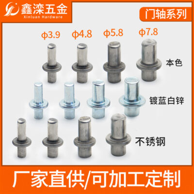 Chân đế M4M5M6M8 trục cửa dưới Trục bản lề lò xo CL225 bản lề trục dưới bằng thép không gỉ Chốt lò xo