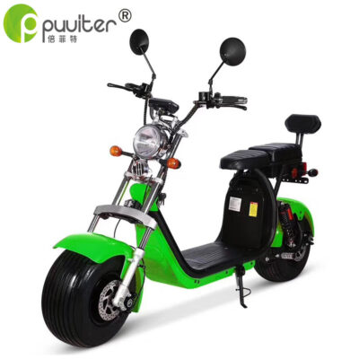 Xuyên Biên Giới Harley Đôi Xe Điện Bán Buôn 60V Volt 12A Pin Lithium Pin Xe Trưởng Thành Di Động Xe Đạp Điện