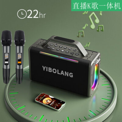 Các nhà sản xuất sản xuất loa siêu trầm 200W Bluetooth loa karaoke ngoài trời công suất lớn âm thanh khiêu vũ tại nhà
