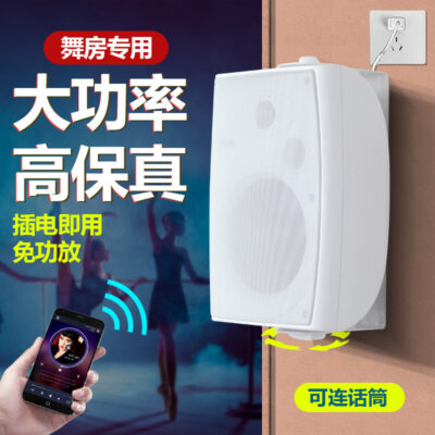 Bộ âm thanh phòng khiêu vũ phòng học trong nhà loa bluetooth không dây phòng tập gym phòng hội nghị vừa và nhỏ micro không dây