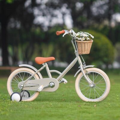 Xe Đạp Trẻ Em 16 Inch Ins Phong Cách Retro Xe Đạp Bánh Phụ Xe Đẩy Bé Gái 2-6 Tuổi Xe Đạp Cho Bé