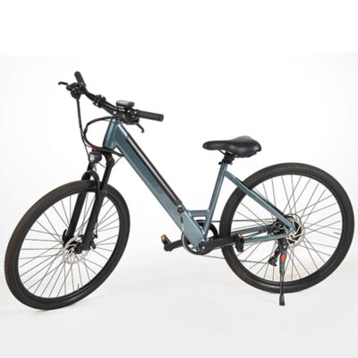 Mô hình thương mại nước ngoài 36V350W26 inch xe đạp điện hỗ trợ gấp tốc độ thay đổi
