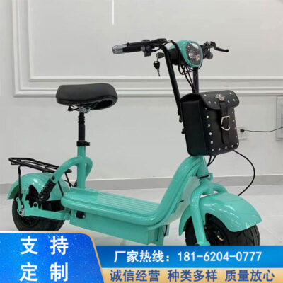 Xe điện pin mới xe người lớn xe điện pin lithium hai bánh công suất cao leo núi chạy đường dài người lớn mô hình