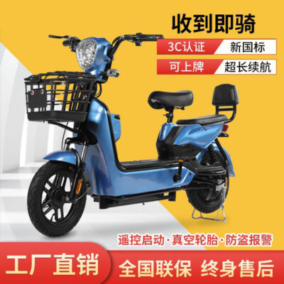 Tiêu Chuẩn Quốc Gia Mới Đại Bàng Vàng Trưởng Thành Xe Đạp Điện 48V 2 Chỗ Đạp Xe 2 Bánh Xe Đạp Điện
