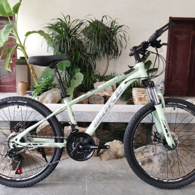 Nhà máy Thiên Tân 24 inch 21 tốc độ phanh đĩa đôi biến tốc độ xe đạp người lớn trẻ em biến tốc độ xe đạp leo núi bán buôn