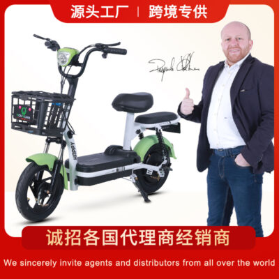 Bán buôn xuyên biên giới Đại bàng vàng hoàng tử bé đậu hạnh phúc calo xe đạp điện ắc quy ô tô các hãng sản xuất ô tô điện du lịch