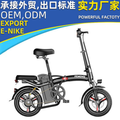 Bán Buôn Người Lớn Gấp Xe Đạp Điện Nam Nữ Mini Ô Tô Điện Nhỏ Phía Sau Chống Sốc Lái Xe Pin Ô Tô