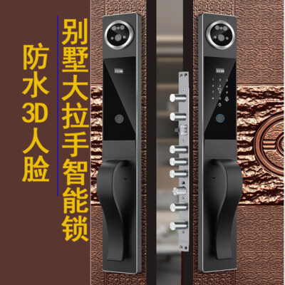 3D Mặt Mèo Mắt Mèo Biệt Thự Chống Nước Cửa Mẹ Chồng Hoàn Toàn Tự Động Thông Minh Vân Tay Mật Khẩu Khóa Di Động Video Khắc CNC