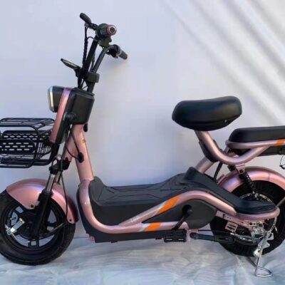 Nhà máy xuyên biên giới xe đạp điện thanh lịch nam nữ mẫu xe điện 48v xe điện mới