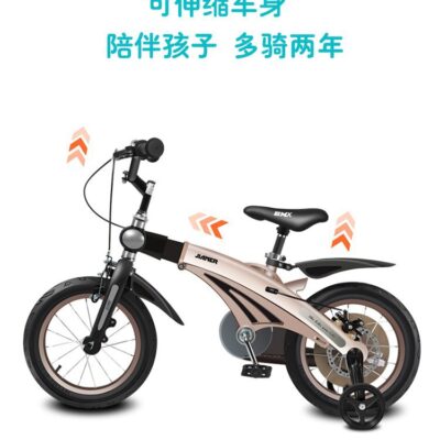 Xe Đạp Trẻ Em Bé Trai 2-3-6-7-10 Tuổi Xe Đẩy Cho Bé Gái Trung Học Công Chúa Mô Hình Xe Đạp
