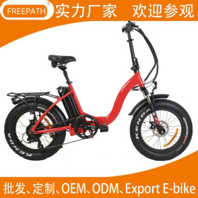 Xe đạp điện Xe đạp điện Lithium Gấp 20 inch 4.0 Nhà sản xuất hồ sơ chống bán phá giá lốp béo