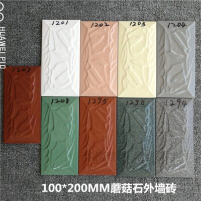 Gạch ốp tường ngoại thất 100*200 nấm đá tường rào gạch nông thôn tự xây sửa chữa nhà tráng men chống đông ốp tường ngoại thất