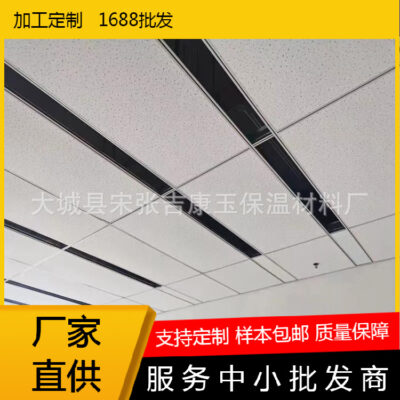 Các nhà sản xuất cung cấp cho các phòng họp trường học vật liệu trang trí trần tích hợp chống ẩm và chống cháy trần hấp thụ âm thanh bông khoáng