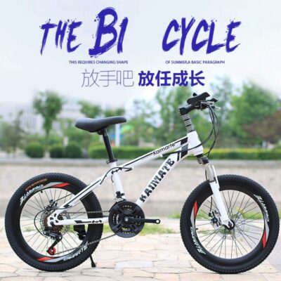 Nhà Máy Bán Buôn Xe Đạp Xe Đạp 20 Inch Thắng Đĩa Tốc Độ Biến Nam Nữ Học Sinh Trẻ Em Quà Tặng BMX