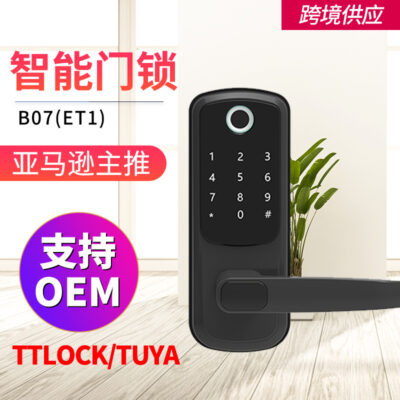 Xuất khẩu dành riêng cho cửa gỗ Amazon khóa vân tay thông minh Tuya TTLOCKWifi khóa mật khẩu thay thế khóa cầu