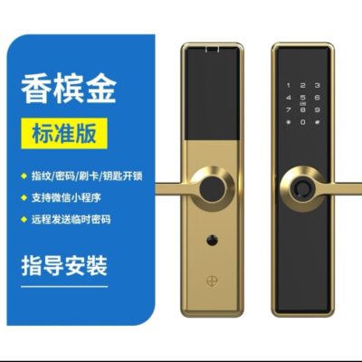 Cửa Trong Nhà Khóa Vân Tay Văn Phòng Thông Minh Khách Sạn Cửa Gỗ Nhà Khóa Điện Tử Căn Hộ Cửa Phòng Từ Xa Mật Khẩu Khóa