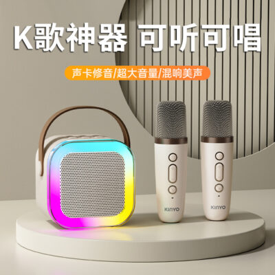 Jinyun K12 Loa Bluetooth gia đình micro âm thanh không dây karaoke ngoài trời họ hát k bài hát một nhỏ ktv