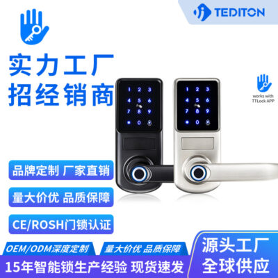 Khóa vân tay kiểu Mỹ một nắm và mở Bluetooth Tongtong APP cửa khóa nhỏ ngoại thương năm loại mở khóa khóa thông minh