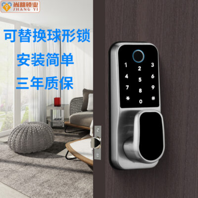 Phòng trong nhà cửa phòng ngủ cửa gỗ khóa vân tay điện tử khóa thông minh văn phòng TTLOCK Bluetooth mở khóa thẻ IC khóa