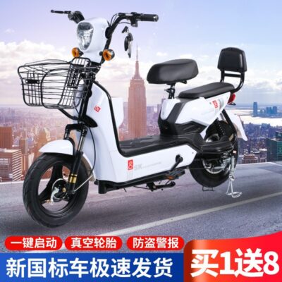 Xuyên biên giới Đông Nam Á xe đạp điện xe điện hai bánh tiêu chuẩn quốc gia mới dành cho người lớn xuất khẩu ắc quy nhà sản xuất bán buôn ô tô