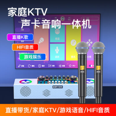 Sound card âm thanh hát live và hét Mai đa dụng đa sân khấu hỗ trợ hát live trong nhà và ngoài trời