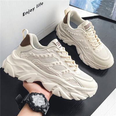 Giày nam mùa hè phiên bản Hàn Quốc mới hợp thời trang cũ giày đế dày giày thường thời trang giày lưới thoáng khí giày thể thao tăng chiều cao
