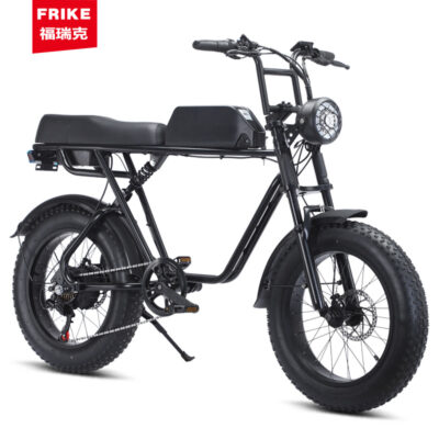Nguồn nhà sản xuất Furyk 20 inch đuôi mềm lốp béo lốp tuyết điện địa hình xe đạp leo núi xe đạp pin lithium