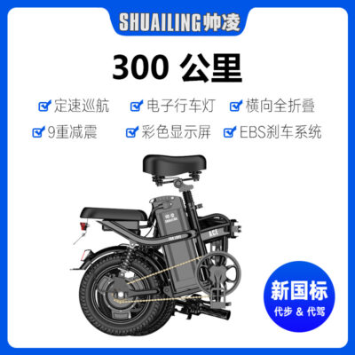 Các nhà sản xuất bán buôn tiêu chuẩn quốc gia mới gấp xe đạp điện xe điện nhỏ ắc quy xe tay ga lái xe siêu nhẹ