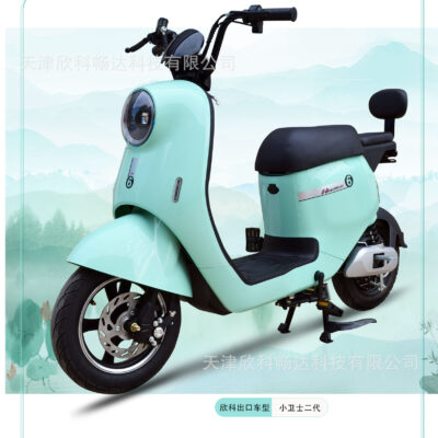 Thiên Tân Xinke xe điện tiêu chuẩn quốc gia mới 800W xe pin xe