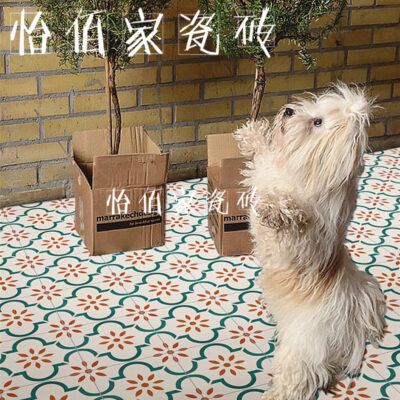 Trận đấu nhỏ Bắc Âu nhỏ tươi Mexico lưới toàn gốm hoa gạch đỏ tường gạch lát sàn phòng khách phòng ăn nhà bếp và ban công phòng tắm