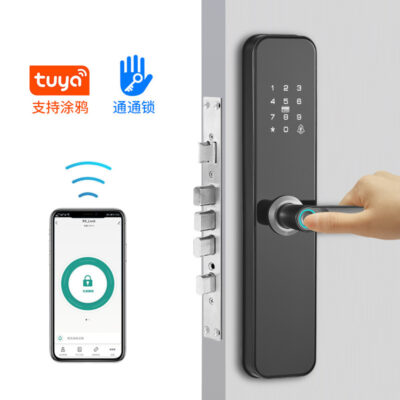 Căn hộ mới homestay cửa gỗ khóa cửa chống trộm graffiti tuya tong ttlock mật khẩu điện tử khóa vân tay thông minh