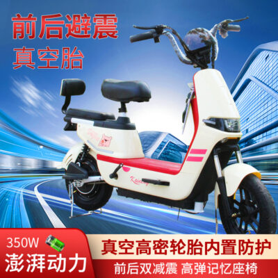 Tiêu chuẩn quốc gia mới nhà sản xuất xe điện hàng bán buôn trong kho dành cho người lớn đôi 48 v xe đạp điện giao thông vận tải pin xe hơi
