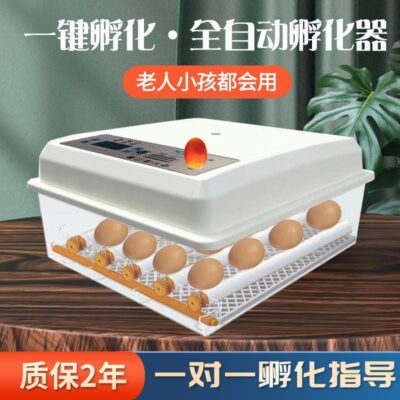 Lồng ấp nhỏ 36 lồng ấp thông minh hộ gia đình hoàn toàn tự động 16 lồng ấp nhỏ lồng ấp con lăn