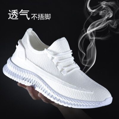 giày nam xuyên biên giới giày thường giày nam hợp thời trang giày thể thao phù hợp giày nam bay dệt vải lưới thoáng khí nhà sản xuất giày bán buôn