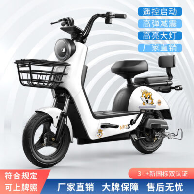 Nhà máy bán trực tiếp xe đạp điện tiêu chuẩn quốc gia mới với cùng một chiếc xe ắc quy dành cho nam và nữ xe máy điện ô tô điện