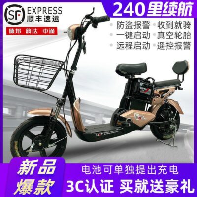 Tiêu Chuẩn Quốc Gia Mới Ô Tô Điện Người Lớn Đạp Xe Đạp Điện 48 Pin Nhỏ Ô Tô Nam Nữ Đi Xe Máy