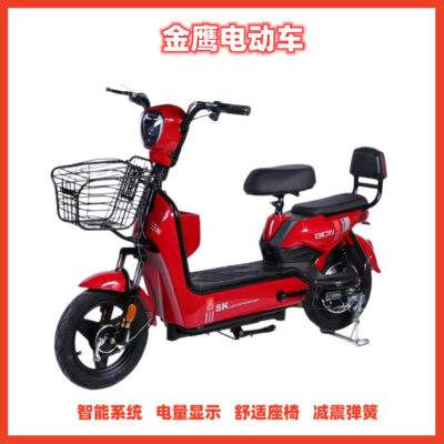 Các nhà sản xuất bán buôn xe điện tiêu chuẩn quốc gia mới để hỗ trợ xe hai bánh chạy pin 48V pin lithium dành cho người lớn xe đạp điện