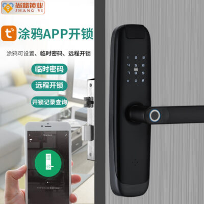 Cửa chống trộm trong nhà cửa sắt cửa thép không thêu ngoại thất khóa thân khóa đầu bò khóa điện tử thông minh khóa thẻ từ mật khẩu khóa vân tay