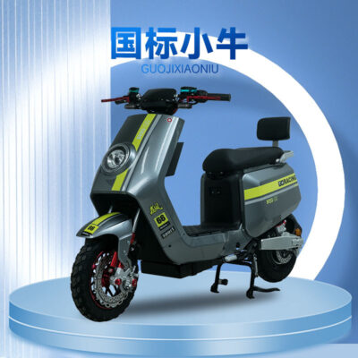Công nghiệp và thương mại tích hợp tiêu chuẩn quốc gia bê dành cho người lớn xe đạp điện giải trí unisex xe tay ga có thể được tùy chỉnh