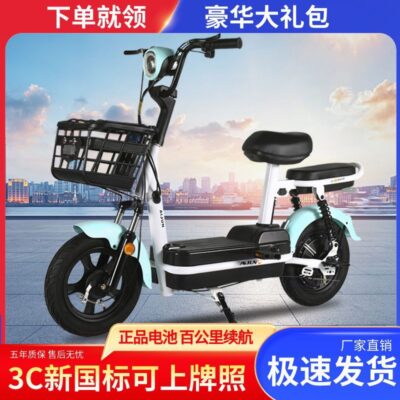 Xe Điện Xe Máy Tiêu Chuẩn Quốc Gia Mới Người Lớn 48V Xe Đạp Điện Pin Nhỏ Xe Đôi Học Sinh Xe Tay Ga