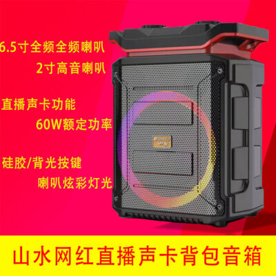 Shanshui D36 ba lô lưới đỏ âm thanh trực tiếp micro không dây kép K thẻ hát tất cả trong một loa ngoài trời công suất cao