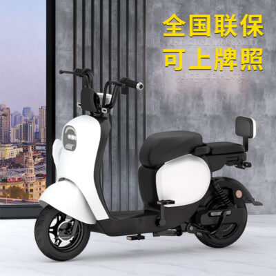 23 xe đạp điện tiêu chuẩn quốc gia mới dành cho nam và nữ mô hình rùa nhỏ xe máy điện pin lithium chống trộm xe đạp điện đôi Xingyue bán buôn