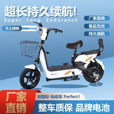 Mới tiêu chuẩn quốc gia trưởng thành nữ xe điện ắc quy xe đôi nhỏ 48V xe điện 2 bánh xe ô tô điện